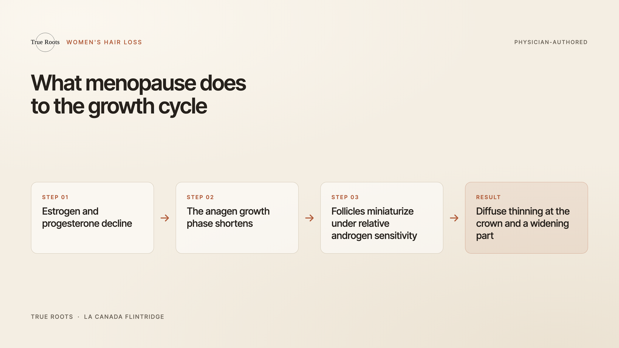 Diagram of how declining estrogen shortens the hair growth phase in menopause